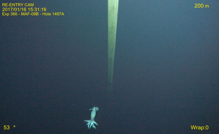 Pipe Going Into The Midnight Zone