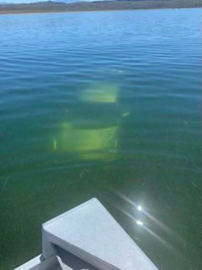 Drunk Driver Outside Bridgeport, California Yesterday Morning