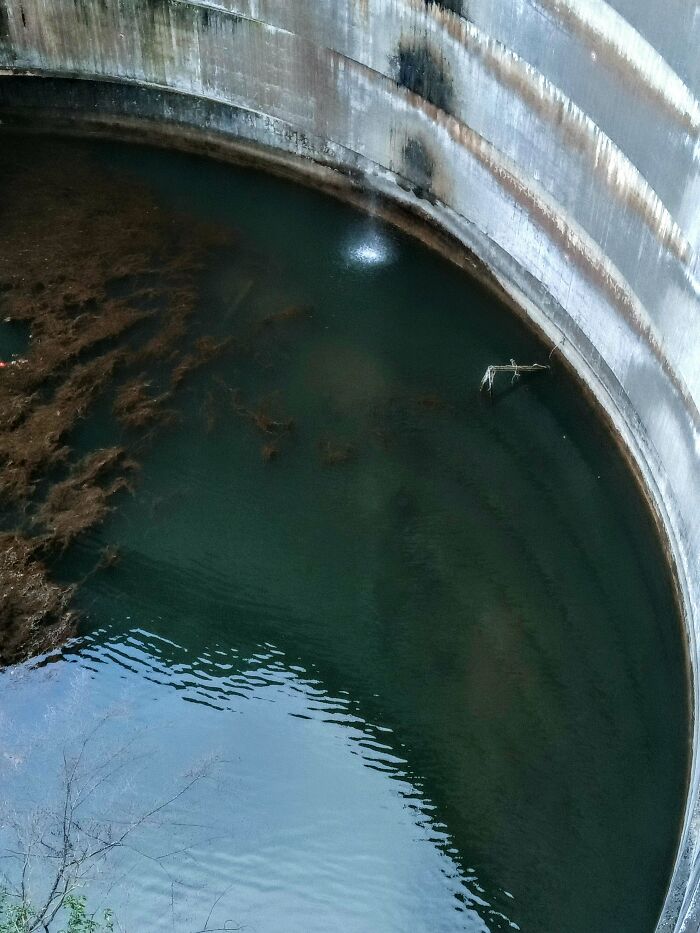 There's Something Big At The Bottom Of This Dam