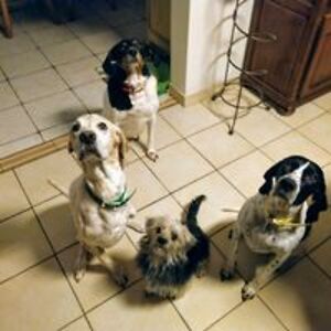 marion_vambre avatar