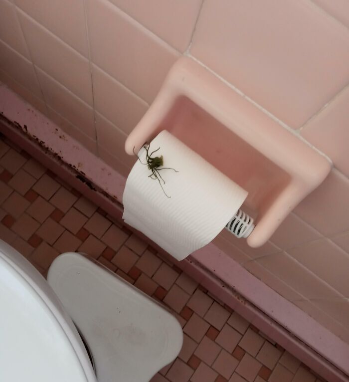 My Husband Left This In The Bathroom For Me To Find. It's The Top Of A Tomato