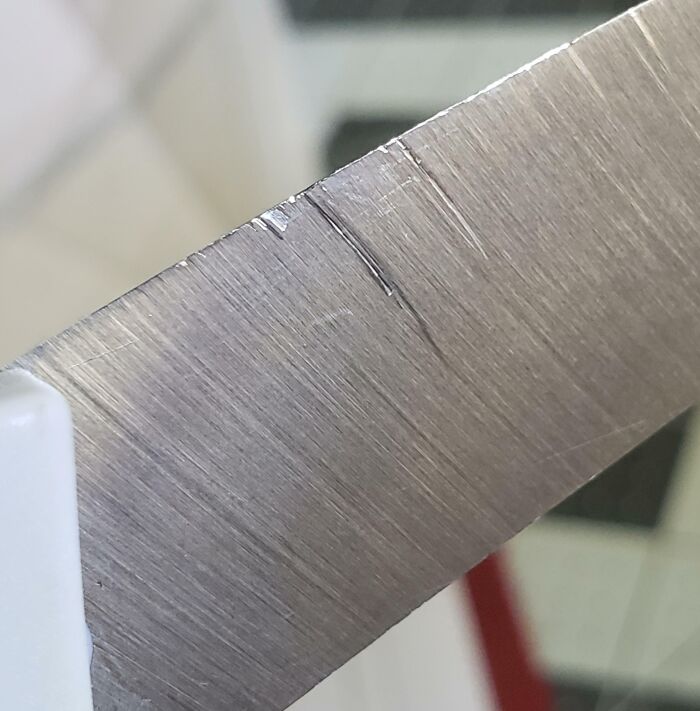 My Roommate Used My Sewing Shears... Where Do I Dispose Of The Body?