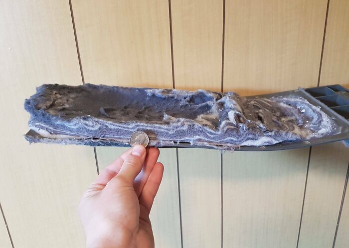 My New Roommate Was Complaining About Her Dryer Not Working Very Well, So I Checked The Lint Trap (Coin For Size Reference)