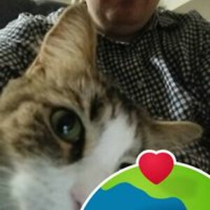 phillinglis40 avatar