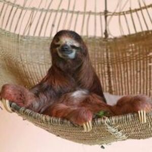 frozenwaters890 avatar