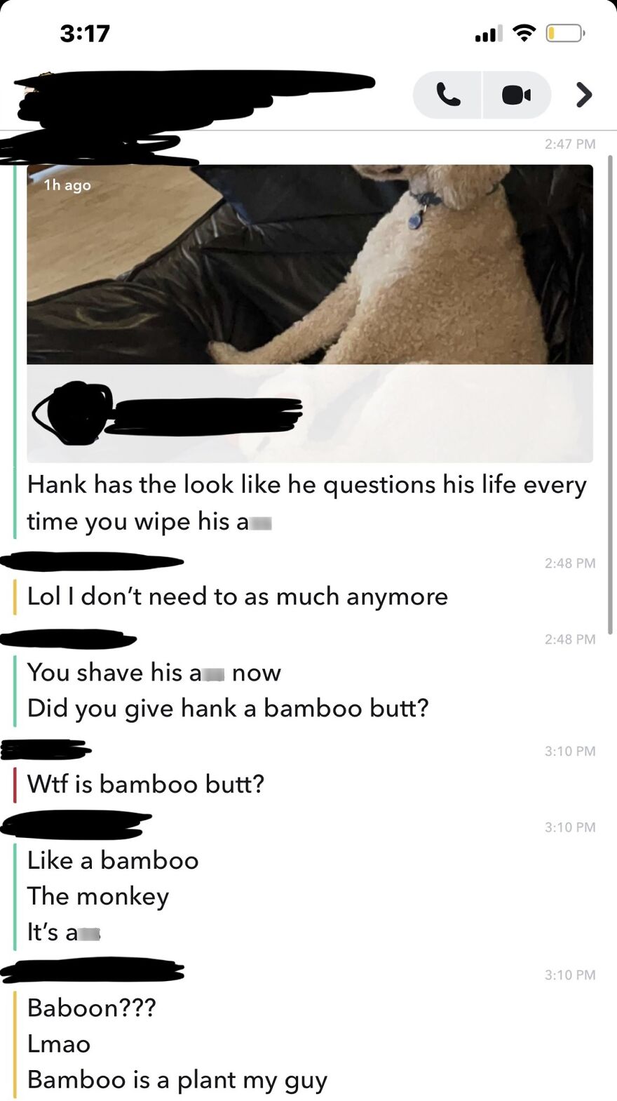 Bamboo Butt Bamboo Butt