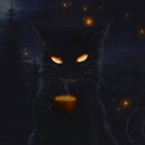 raghadmohamedosman avatar