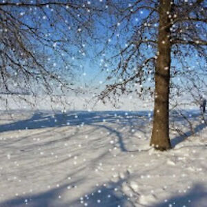 marykaecameron avatar