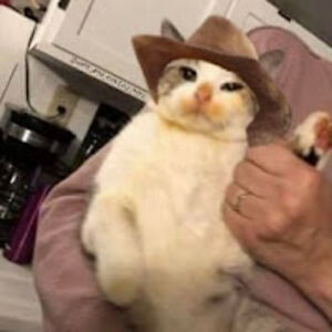 glenntambunan avatar