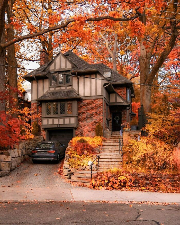 Charming brick and timber house with unique architecture surrounded by vibrant autumn trees and colorful landscaping.