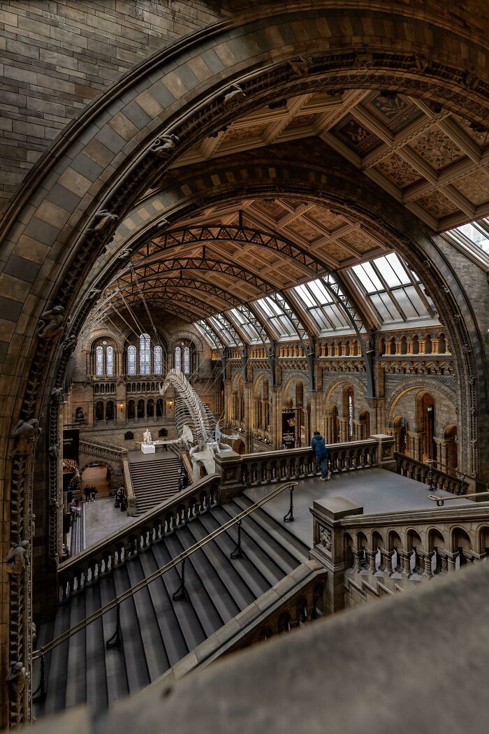 Intricate architecture of a grand museum interior featuring large arches, stained glass, and a dinosaur skeleton display.