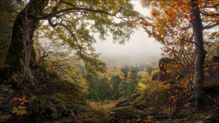 La llegada del otoño