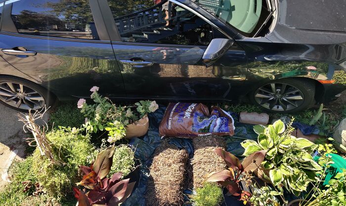My Neighbor Keeps Parking Her Car On Top Of My Garden Area Instead Of Her Driveway Because She's Too Lazy To Pull Her Trash Cans In