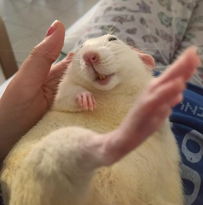 How Cute Is That Tiny Feet