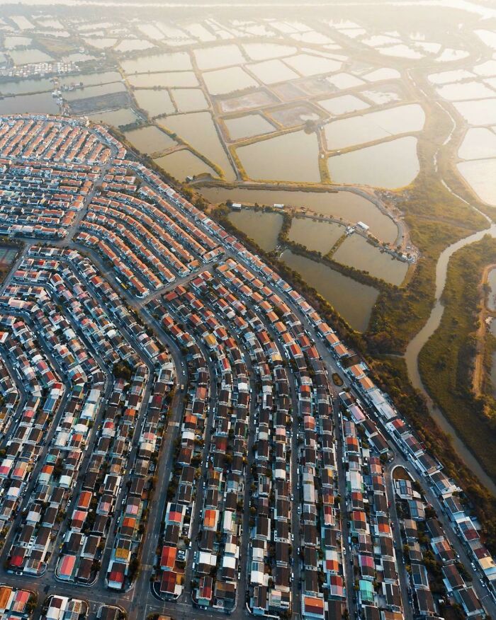 Suburban Meets Nature