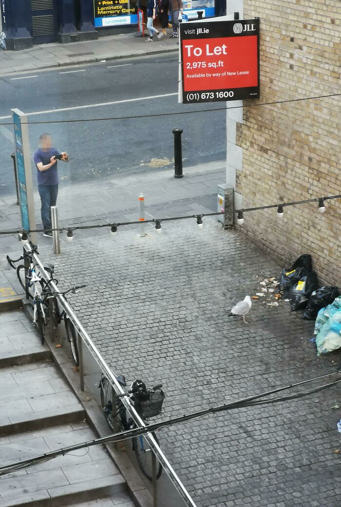 Me Taking A Picture Of A Man Taking A Picture Of A Seagull Eating Garbage