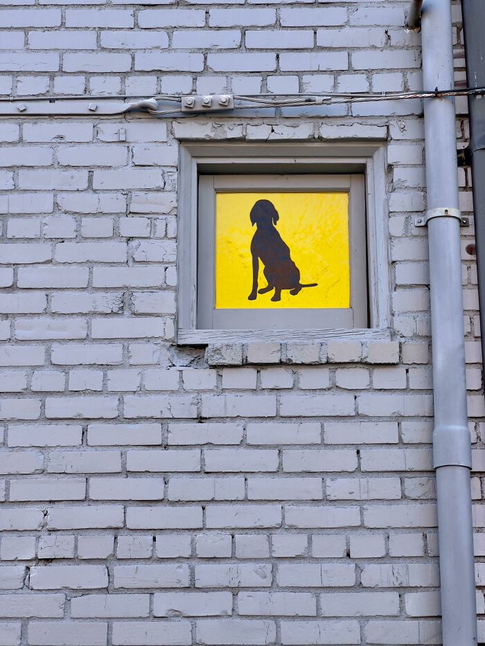 Behind Our Humane Society Thrift Shop In An Otherwise Very Typical And Nondescript Alley