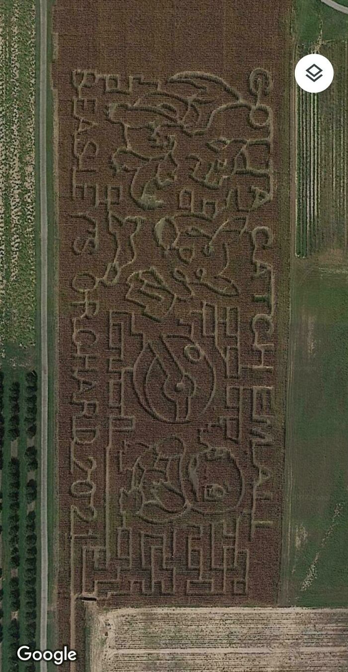 My Local Farm Has A Pokemon Themed Corn Maze!