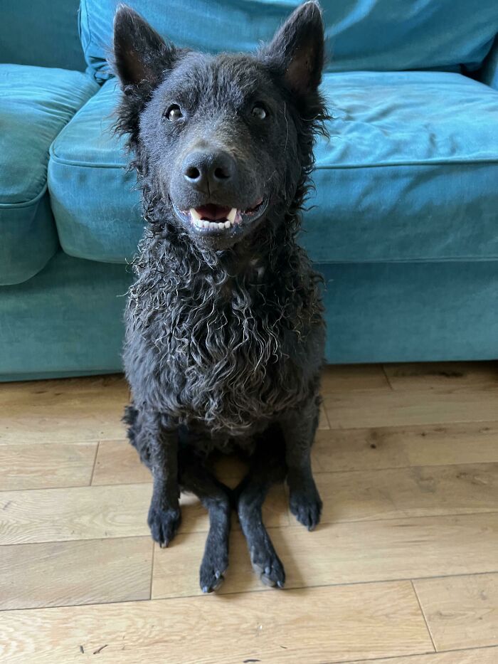 Seriously. This Is How He Sits. All. The. Time