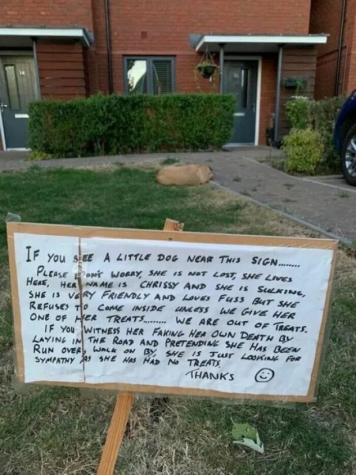 Found In The Wild, Couldn't Restist Posting