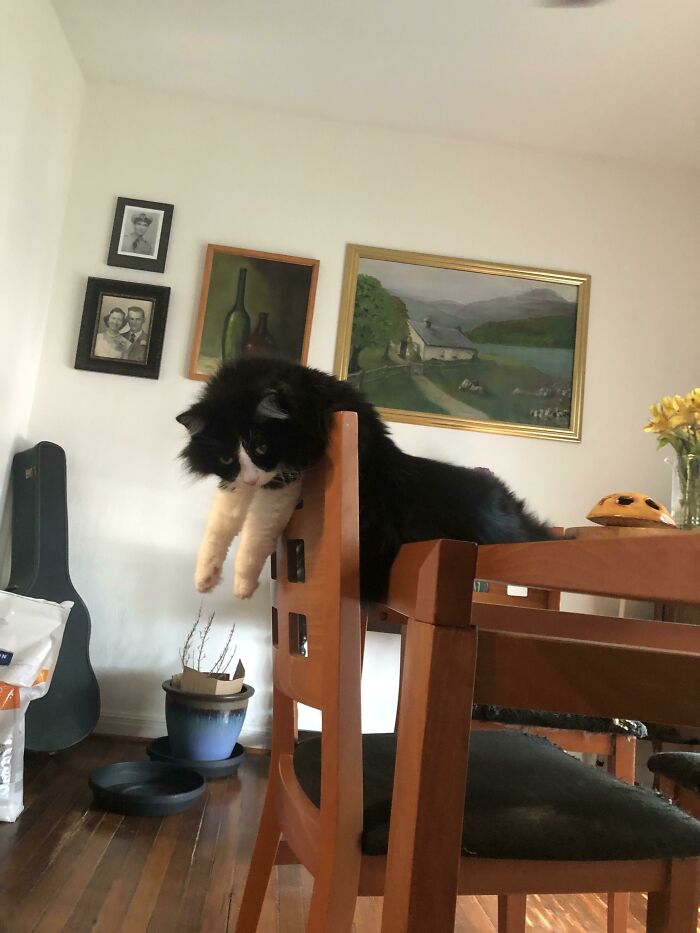 No puedo describirlo. Esta es Sophie