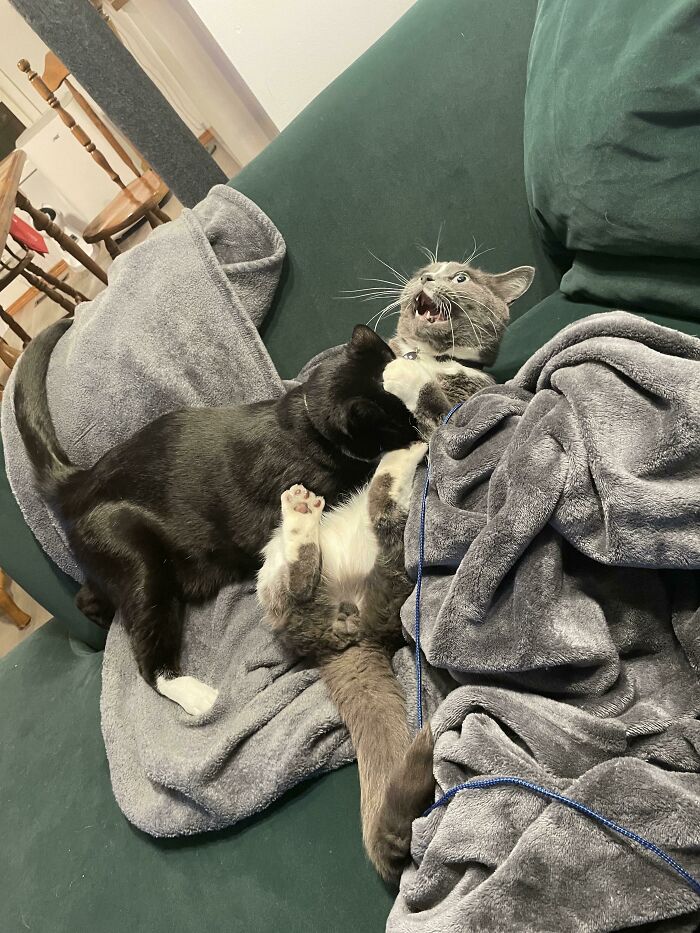 Solo un poco dramático