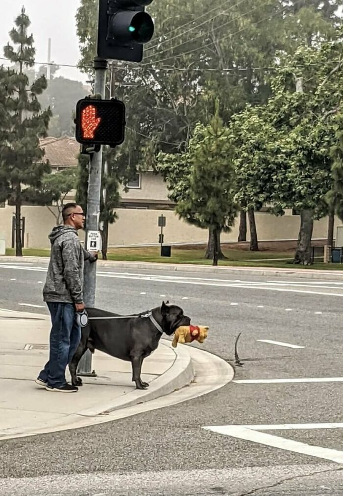 What's Wrong With Ur Badass Dog