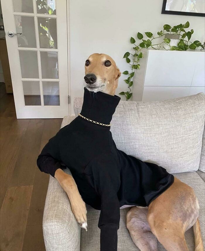 Will He Stay Like This Forever?