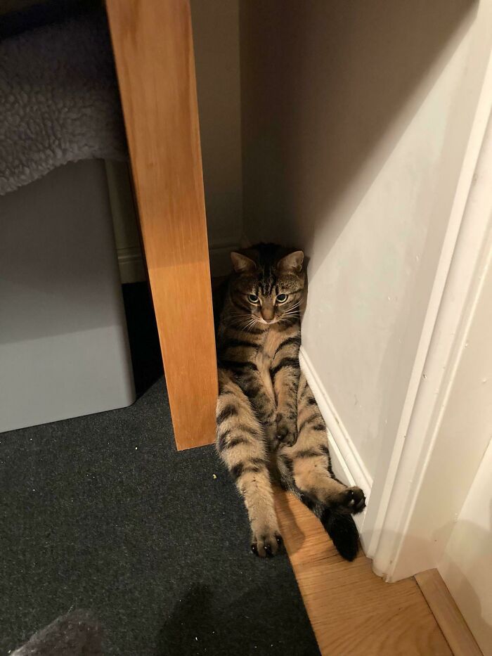 ¿Qué ocurre, Bobbi?