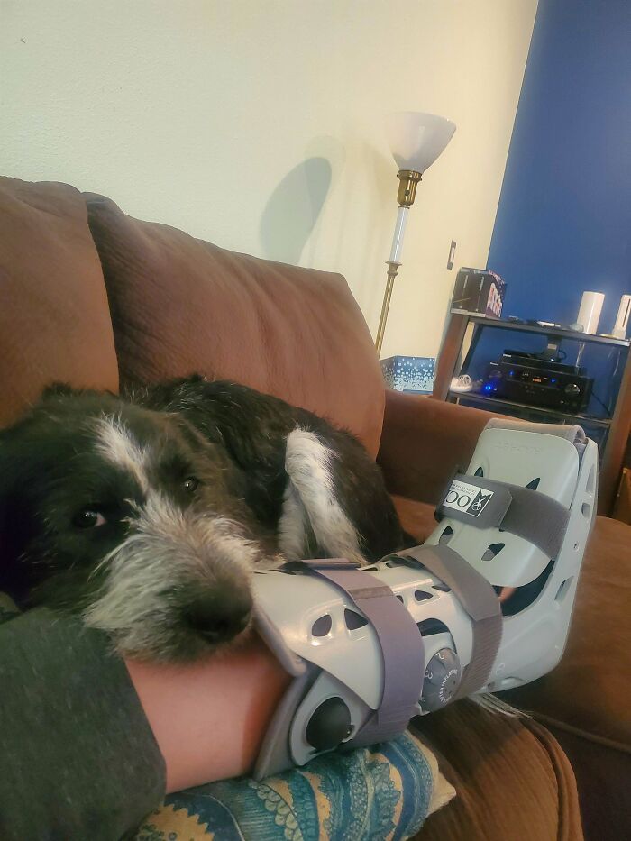 Guess Who Tripped Me