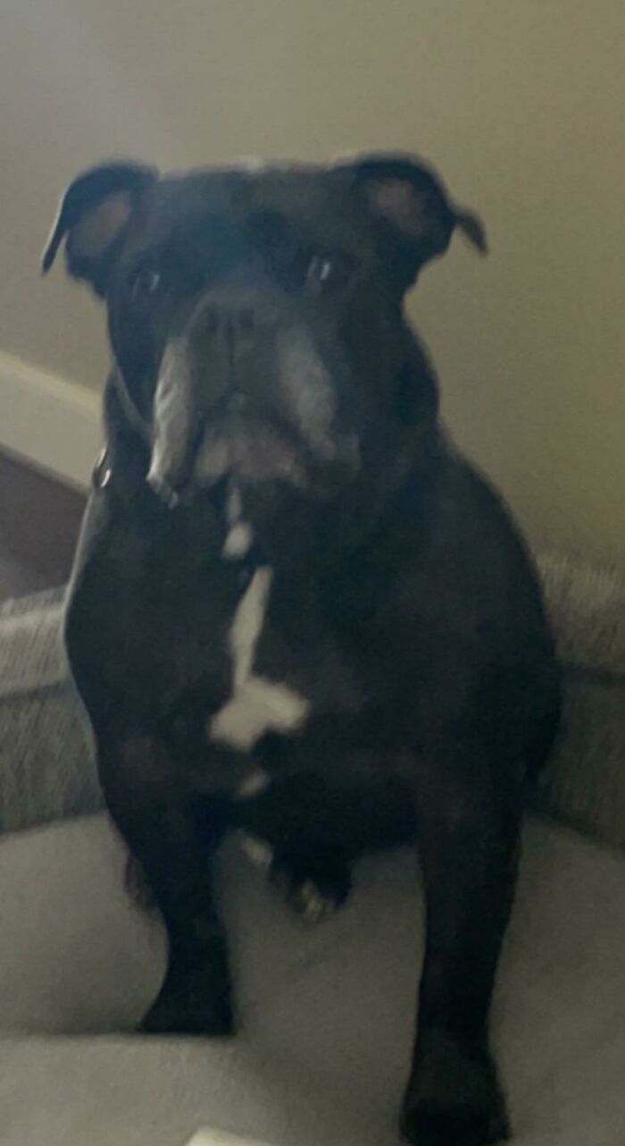 I Got Glasses And He’s Been Staring At Me Like This For 20 Minutes