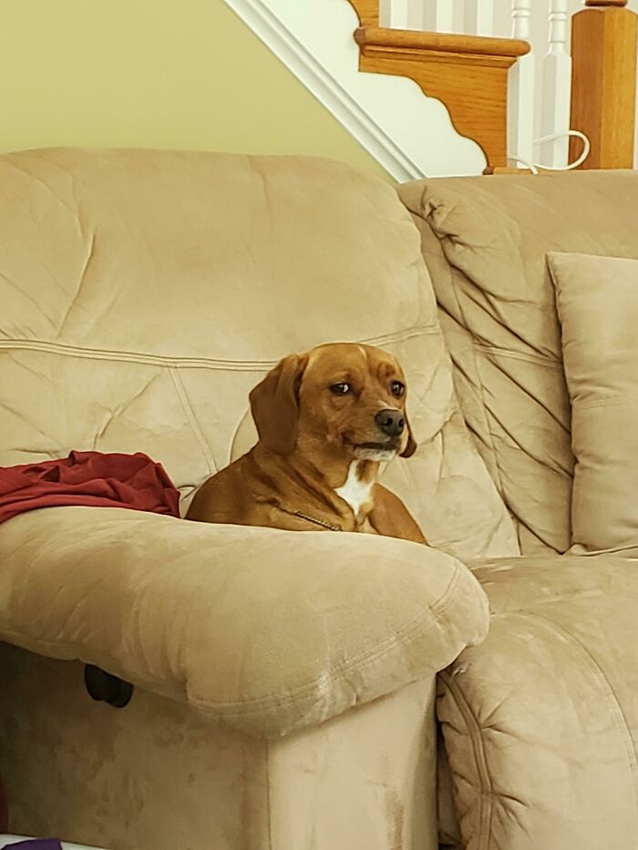 Sometimes When She Wakes Up From A Nap, Her Mouth Is Crooked. Usually A Yawn Fixes It, But For Just A Few Seconds, She Stares At Me With This Incredibly Awkward Expression