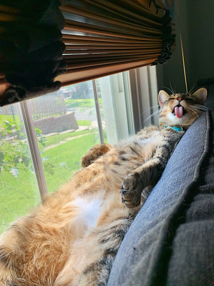 A Antonio le encanta tomar sol