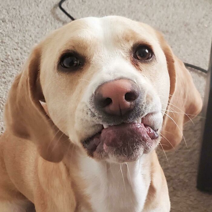 She Looks At Me Like This While I Work