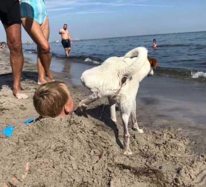 Max Usually Is Really Well Behaved. Him And My Nephew Are Still Friends