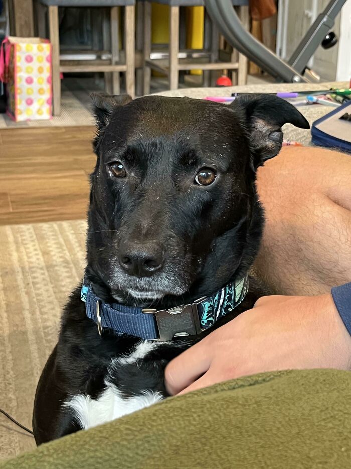 She’s Pouting That I Won’t Let Her Go Play Outside In Hurricane Ian…