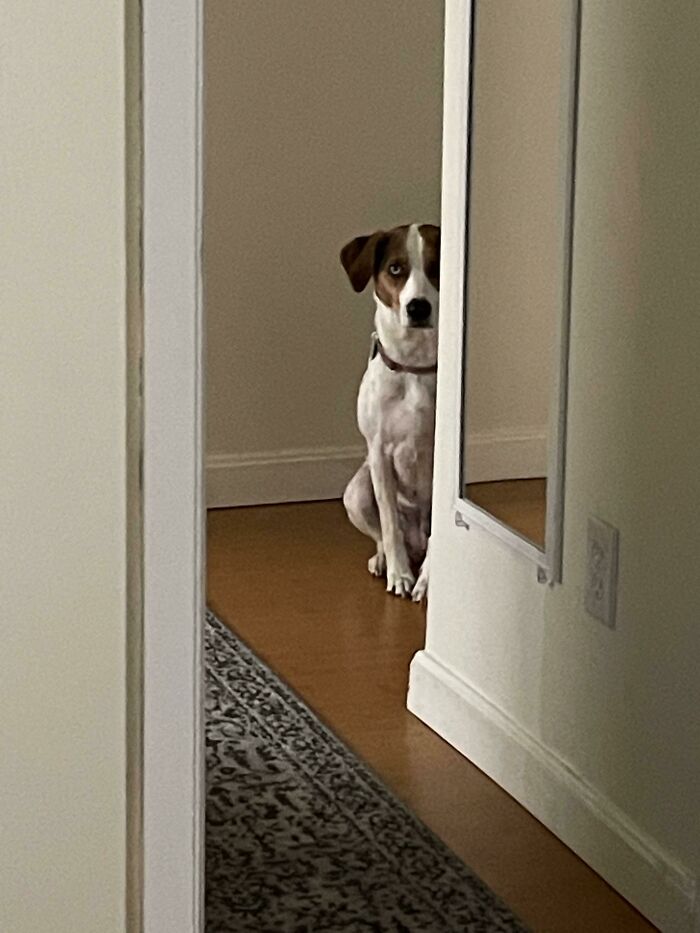 My View From The Bathroom