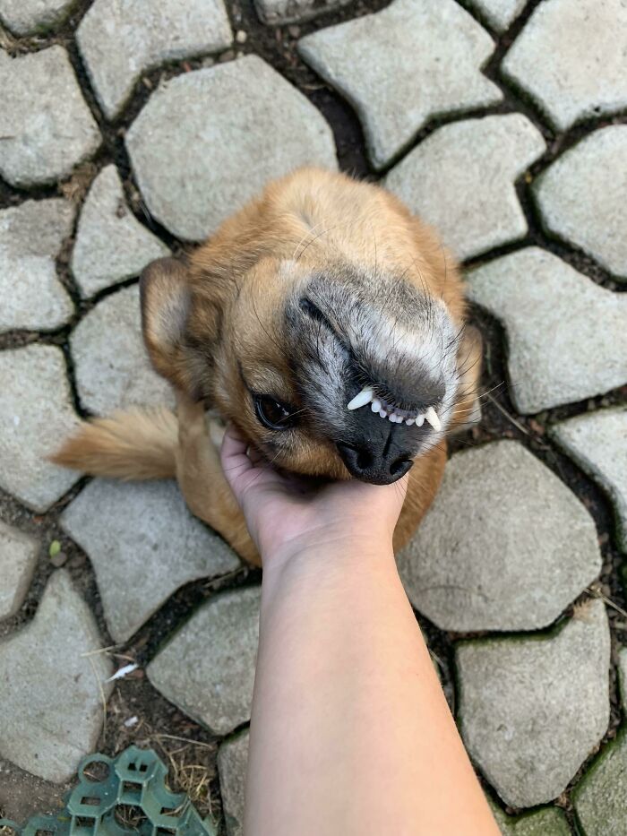 She Likes To Look Me In The Eyes, I Think