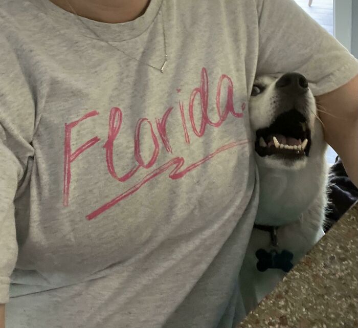 I Moved In With My Fiancé And His Dog… I Think He’s Mine Now