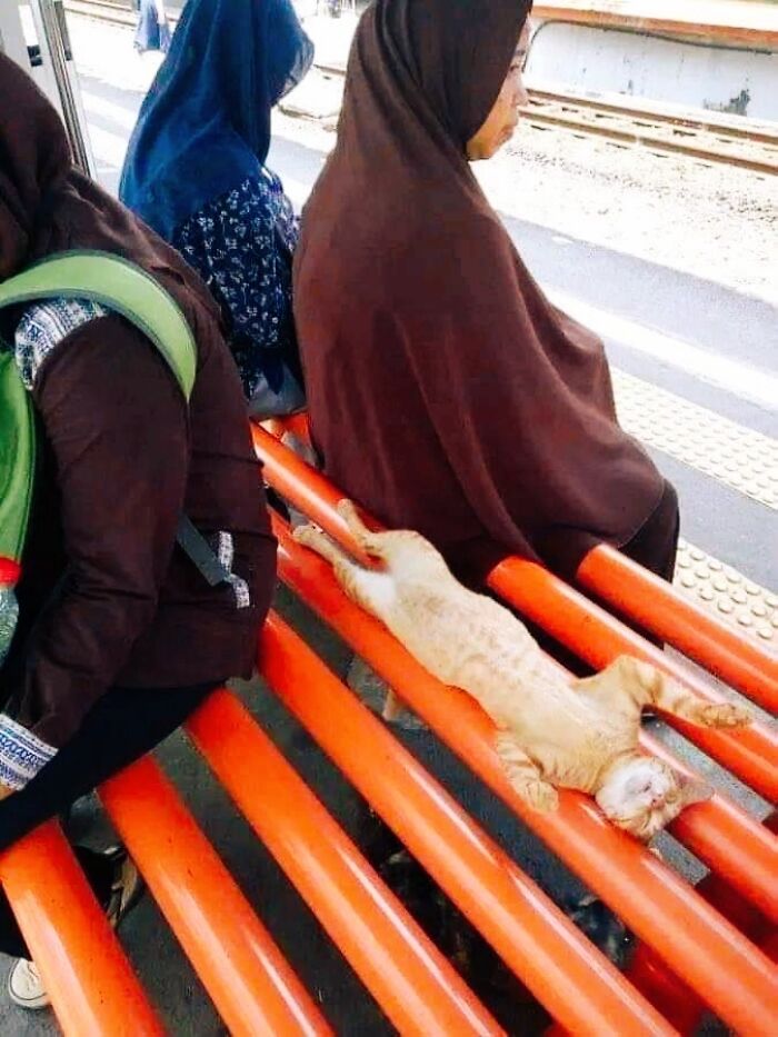 After A Long Day Of Building The Nation