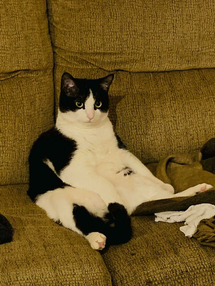 Does Anyone Know Why He Sits Like This?