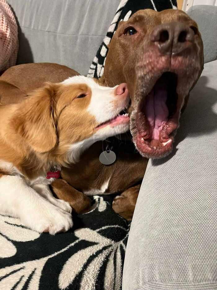 I Really Think This Doesn’t Need A Caption But I Can’t Post It Without One