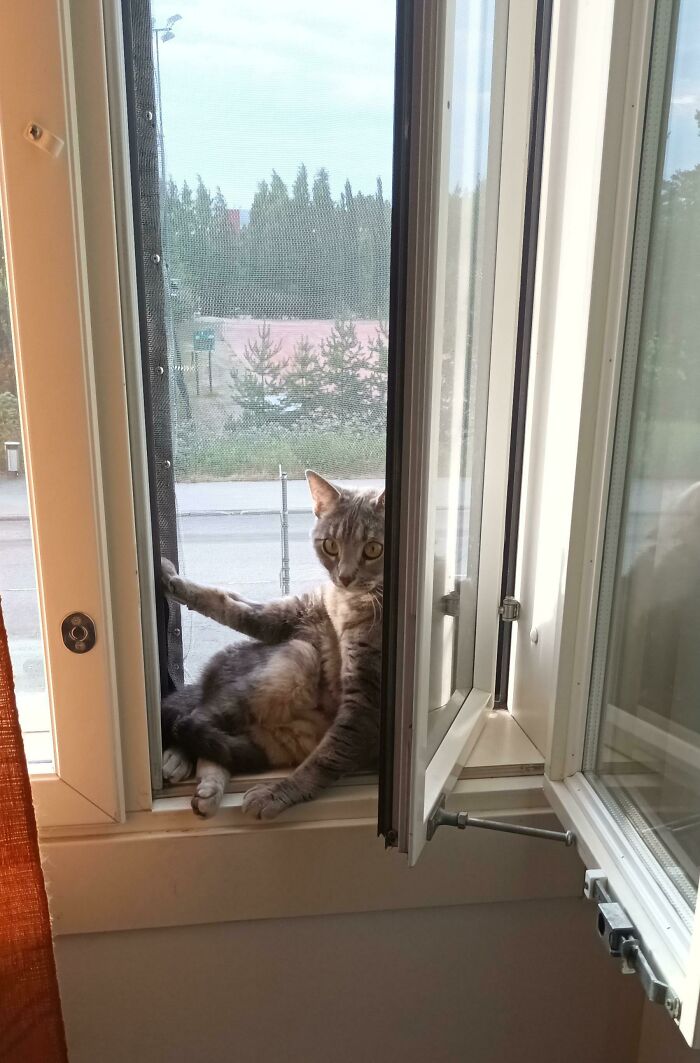 I'm Pretty Sure I Interrupted Something