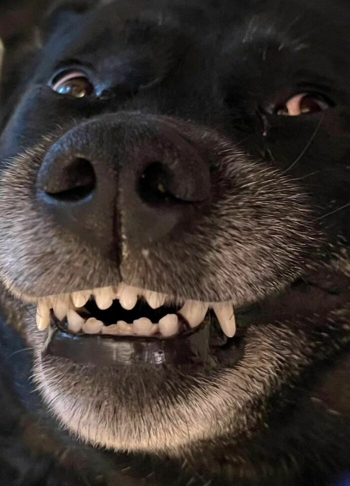 Oh, Hello. I Didn't See You There. I Hope You're Having A Good Morning