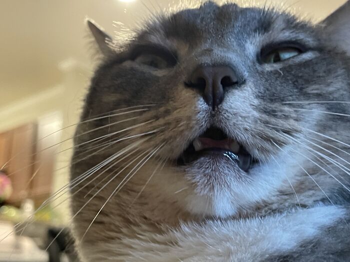 I Don’t Even Have A Funny Caption For This One. I’m Speechless