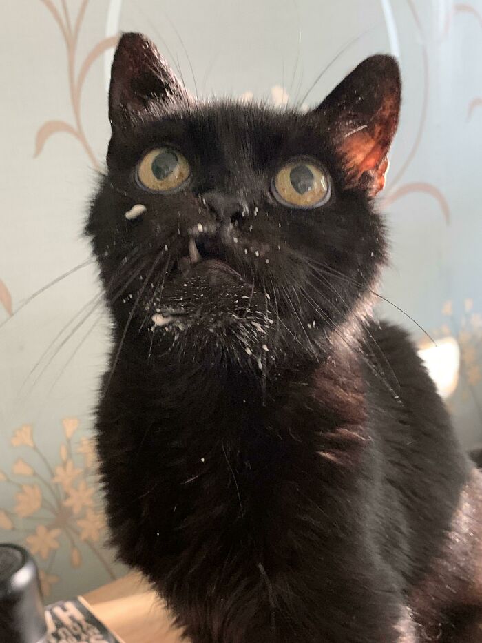 He Has A Milkshake Addiction