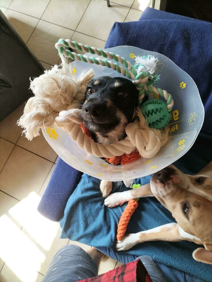 I Guess This Belongs Here, Just Look How Happy He Is, Cone Of Gatherings