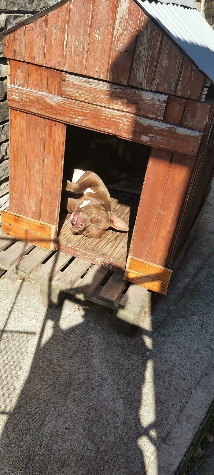 How He Sleeps Knowing He Never Has To Work A Day In His Life