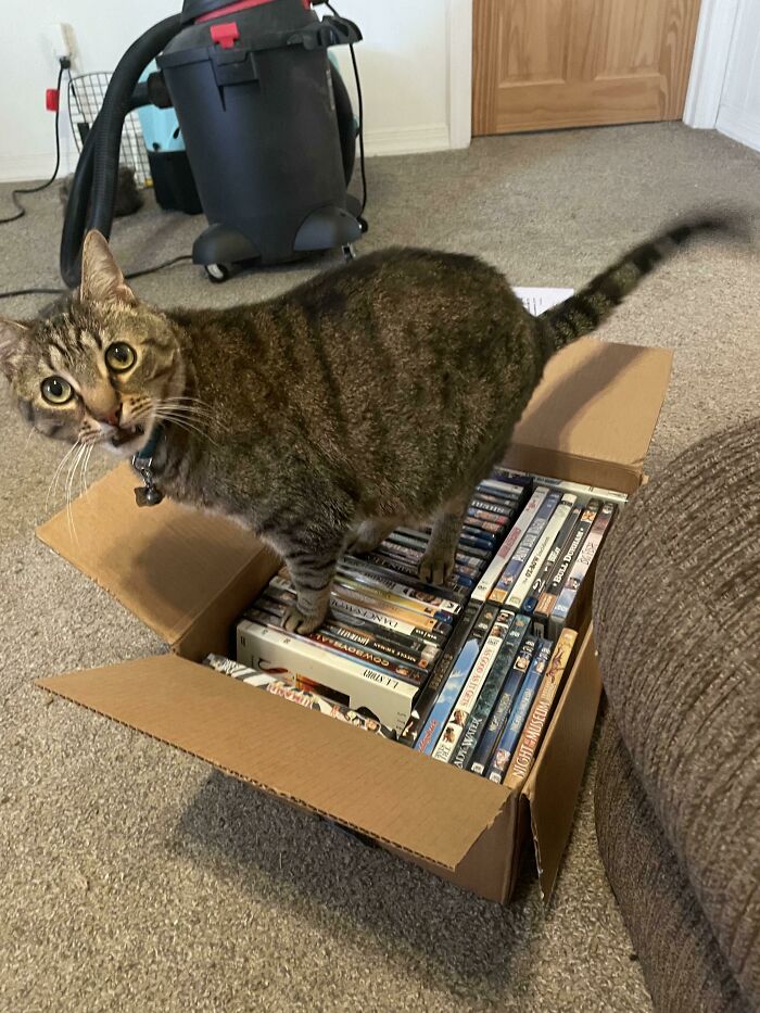 Mom Sent Me Her Old Dvds, Not Sure If He’s Surprised By The Selection Or Just Excited