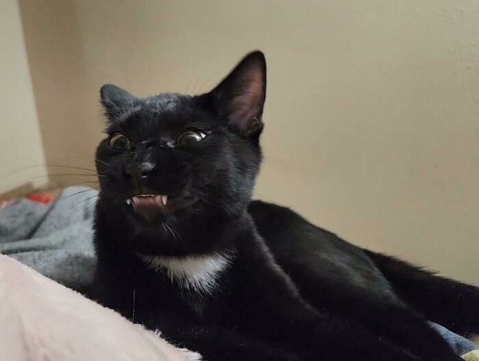 He Scrunged So Hard His Face Broke